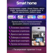 Потолочная светодиодная люстра Natali Kovaltseva Smart Home Led Lamps 81213