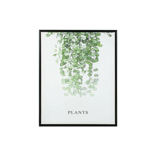 Картина Plants 40х50см
