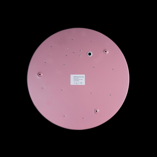 Потолочный светодиодный светильник Loft IT Axel 10002/24 pink