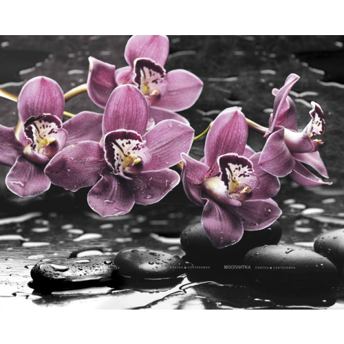 Панно Спа Орхидея 40х50